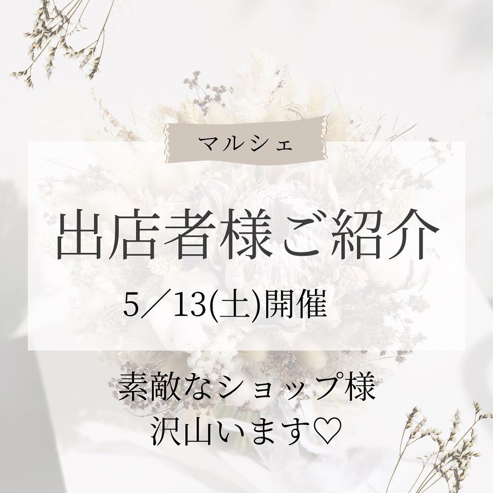 画像1346